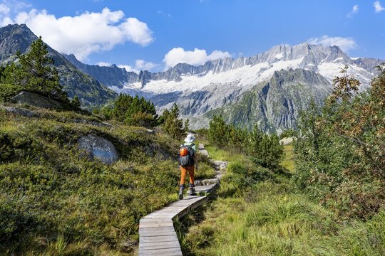 Mountaineers on wooden plank trail through mountain moor, in front of picturesque mountain scenery, Dammastock and Damma glaciers, G&ouml;scheneralp, Canton of Uri, Switzerland