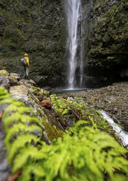 Hikers in front of a waterfall on a steep rock face, Levada do Caldeir&atilde;o Verde, Parque Florestal das Queimadas, Madeira, Portugal