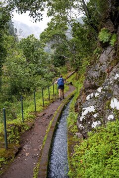 Hiker on Levada do Moinho, Ponta do Sol, Madeira, Portugal