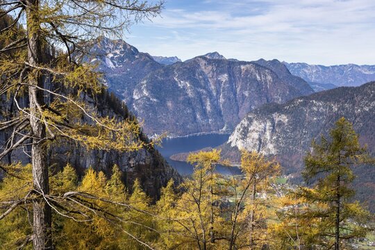 View from the slopes of the Dachstein mountains to Lake Hallstatt. Yellow larches. Autumn, good weather, some clouds. Lake Hallstatt, Salzkammergut, Upper Austria, Austria