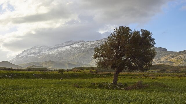 Spring in Crete, Amari Basin, Amari, Psiloritis, Ida Massif, snow-capped mountains, tree, green meadow, blue sky, grey clouds, central Crete, island of Crete, Greece