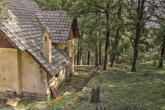 A house with tiled roof and chimney in the peaceful green forest, Big old trees, wild nature, Profitis Ilias, Rhodes, Dodecanese, Greek Islands, Greece
