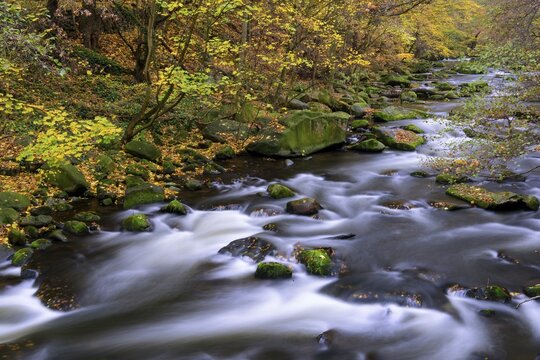 Autumn on the river Bode in the Harz Mountains, foliage colouring, Bodetal, Thale, Saxony-Anhalt, Germany