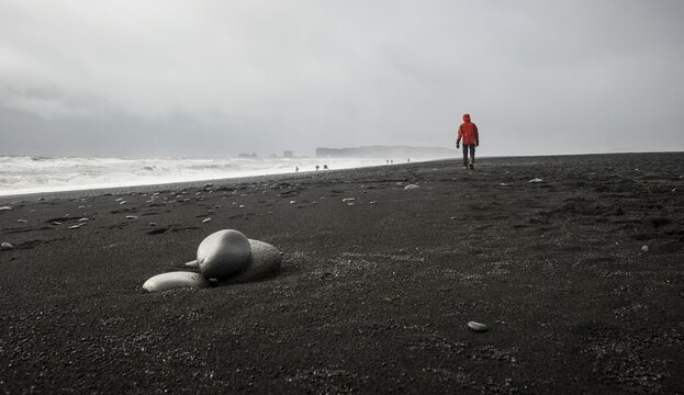 Man walking on a black sandy beach, bad weather, Reynisfjara Beach, South Iceland, Iceland