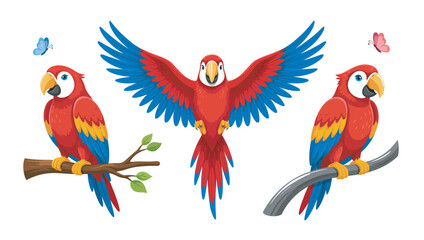 Bright vector illustration featuring tropical macaw parrots in flight and perched on branches © abdur