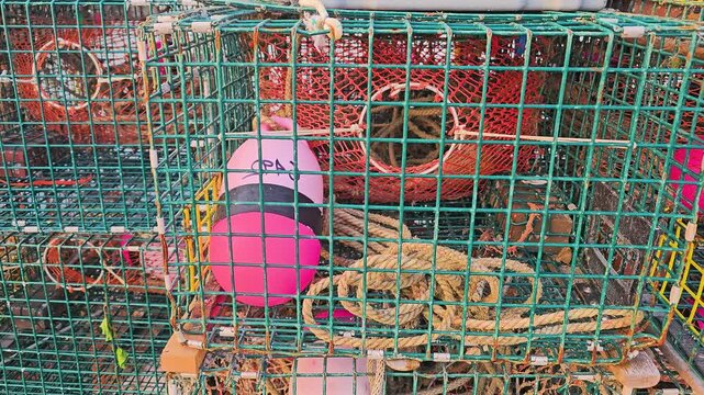 Working lobster pots arranged in rows, with blue metal cages, green netting, beige rope, and red float marker for seafood harvesting and maritime labor scenes.