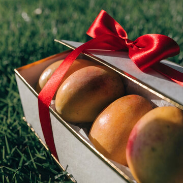 alphonso mangoes in a gift box over grass and tied