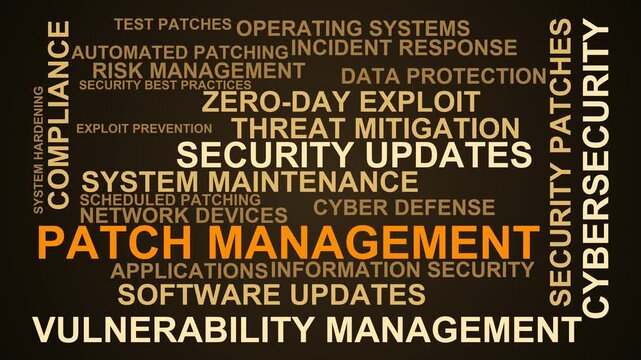 Patch Management Word Cloud