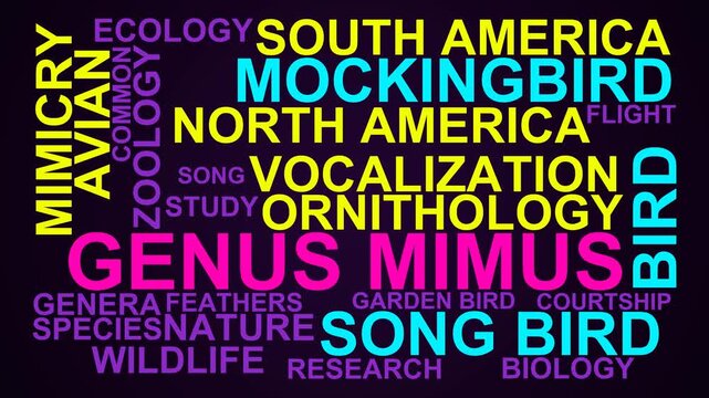 Genus Mimus Word Cloud