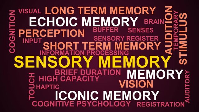Sensory Memory Word Cloud