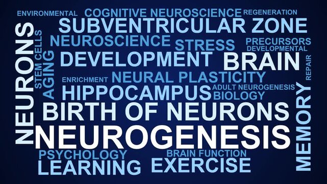 Neurogenesis Word Cloud