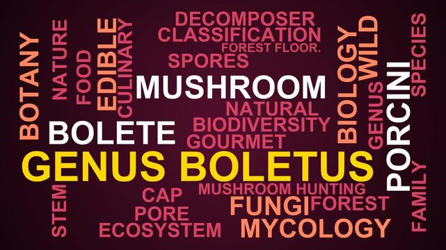 Genus Boletus Word Cloud