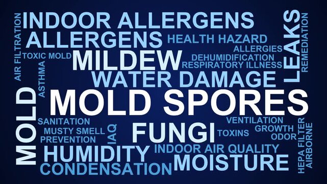 Mold Spores Word Cloud