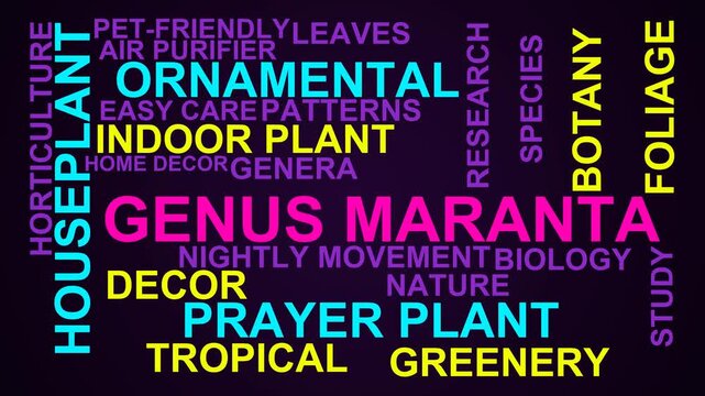 Genus Maranta Word Cloud