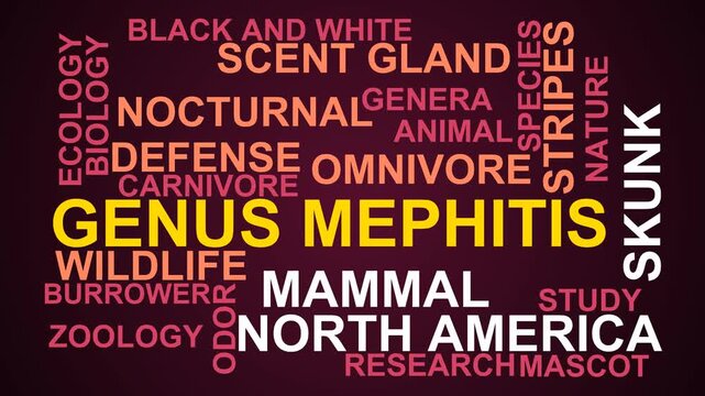Genus Mephitis Word Cloud