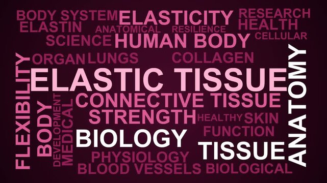 Elastic Tissue Word Cloud
