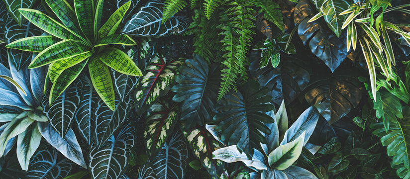 Full Frame of Green Leaves Pattern Background, Nature Lush Foliage Leaf Texture, tropical leaf