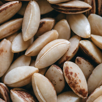 portion of apricot kernels close up shot