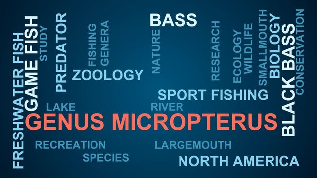 Genus Micropterus Word Cloud