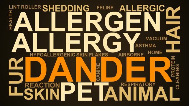 Dander Word Cloud