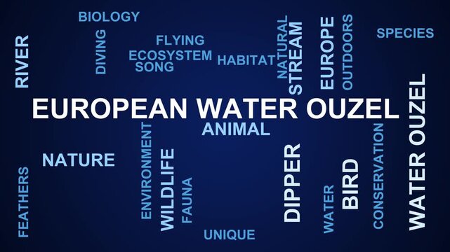 European Water Ouzel Word Cloud