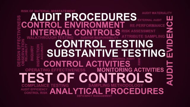 Test Of Controls Word Cloud