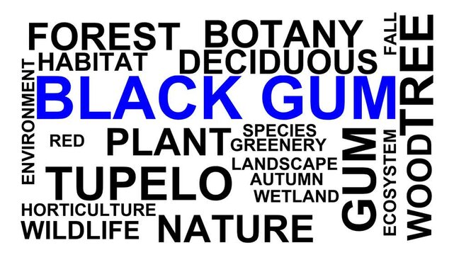 Black Gum Word Cloud