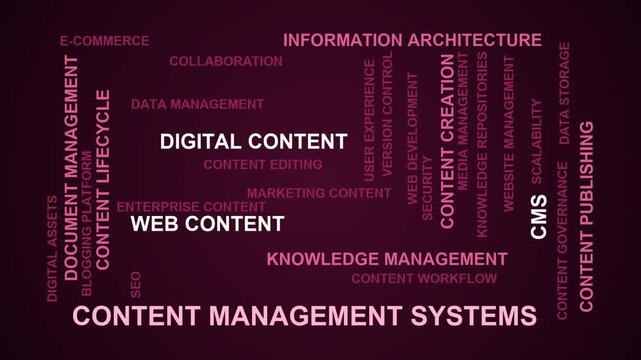 Content Management Systems Word Cloud