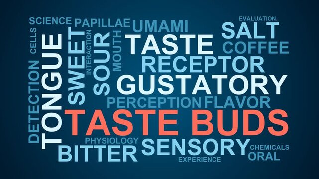 Taste Buds Word Cloud