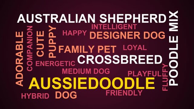 Aussiedoodle Word Cloud