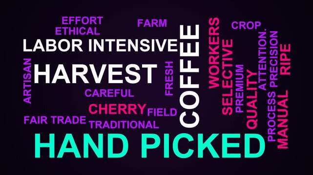 Hand Picked Word Cloud