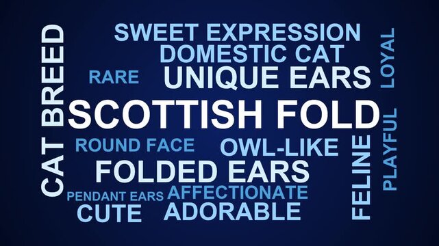 Scottish Fold Word Cloud