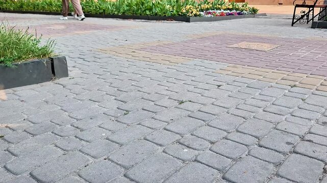 A people walks along a paved sidewalk in a landscaped urban area. Close view of interlocking brick pavement with natural daylight, capturing an everyday outdoor scene with casual pedestrian movement