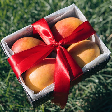 alphonso mangoes in a gift box over grass and tied
