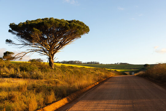 country road and beautiful rolling fields of  Stanford, South Africa at sunset