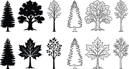 Collection of various tree silhouettes and line on a white background, set forest © Yeasmin