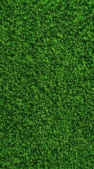 Obraz premium Vibrant Green Grass Texture Background Pattern.