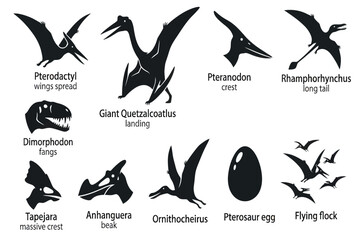 Pterosaur & Flying Dinosaur Icons Set   Pterodactyl, Pteranodon, Quetzalcoatl's Prehistoric Vector Collection © Rashedul Haque Sakib