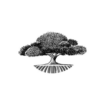 Hand drawn sketch of tree and lawn icon using hatch and scribble techniques sketch 