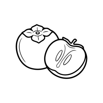 Line art illustration of whole and halved persimmon fruit.