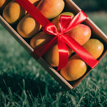 alphonso mangoes in a gift box over grass and tied