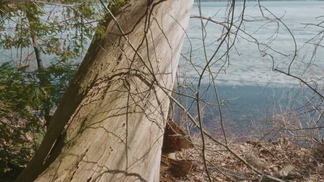 Long Point State Park overlooking scenic Chautauqua Lake