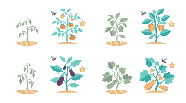 Climate-Resilient Agriculture: Diverse Crops and Pollinators