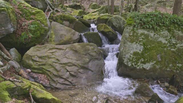 Bent Run Waterfall flowing through Allegheny National Forest