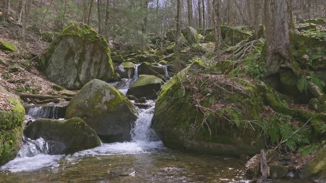 Bent Run Waterfall flowing through Allegheny National Forest