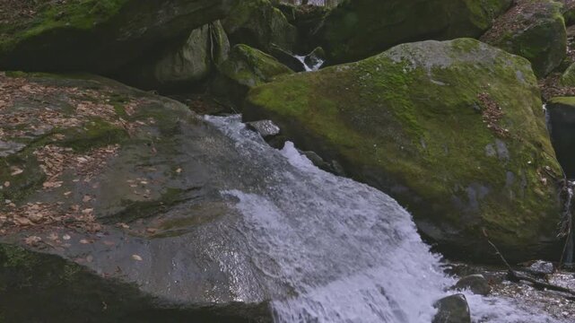 Bent Run Waterfall flowing through Allegheny National Forest