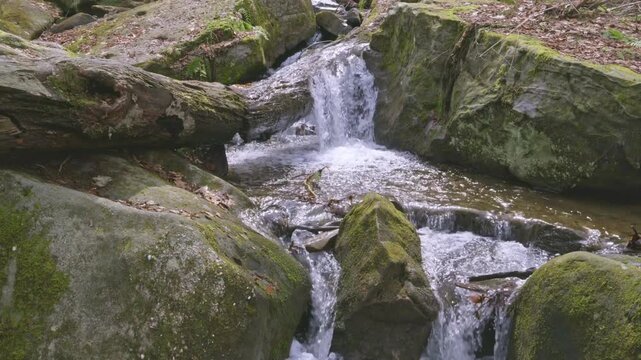 Bent Run Waterfall flowing through Allegheny National Forest