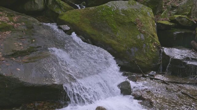 Bent Run Waterfall flowing through Allegheny National Forest