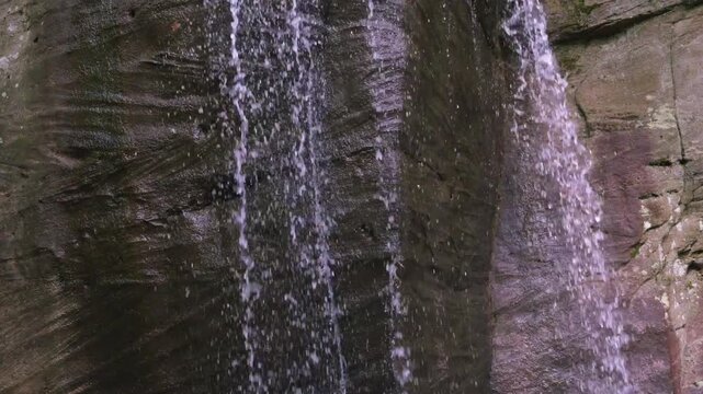 Hector Falls cascading through Allegheny National Forest wilderness