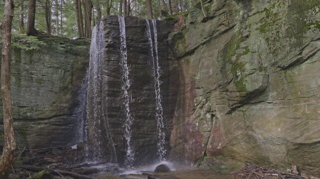 Hector Falls cascading through Allegheny National Forest wilderness